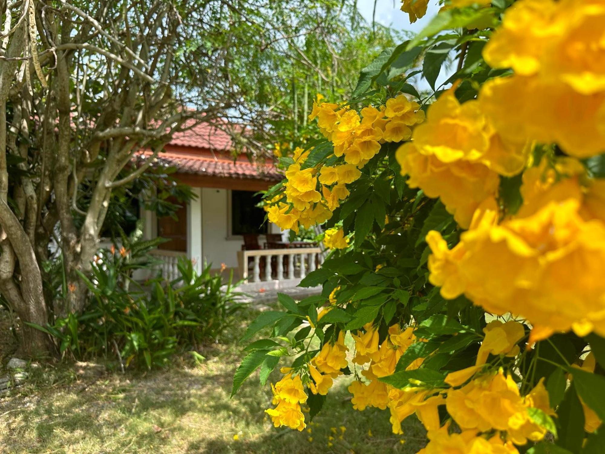 Samui Garden Resort Bang Rak Beach  Exterior photo