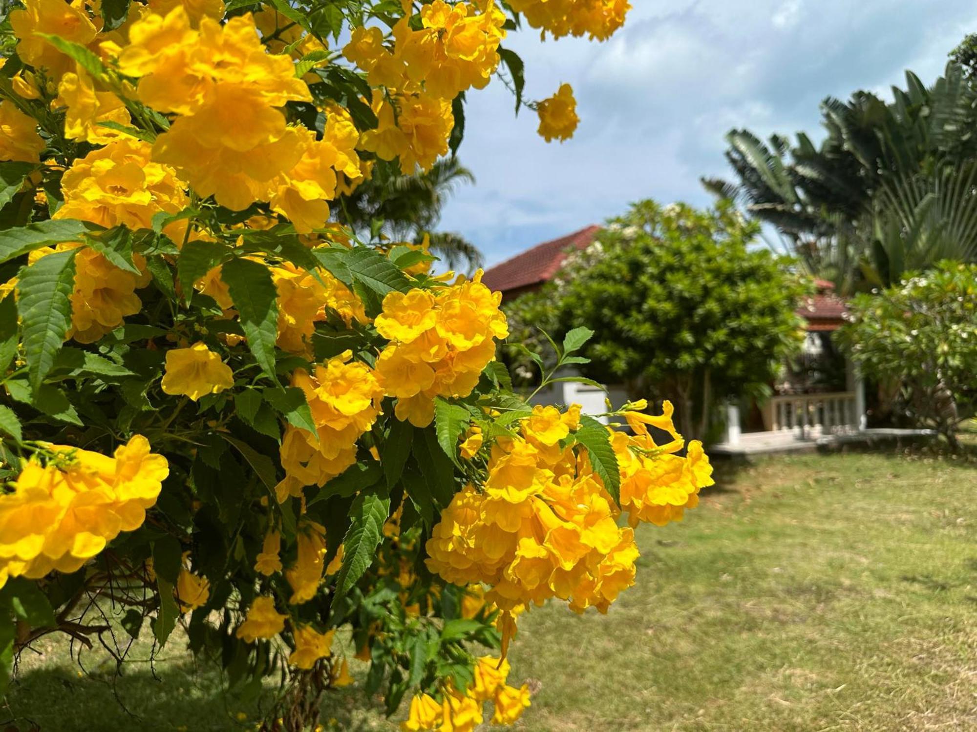 Samui Garden Resort Bang Rak Beach  Exterior photo
