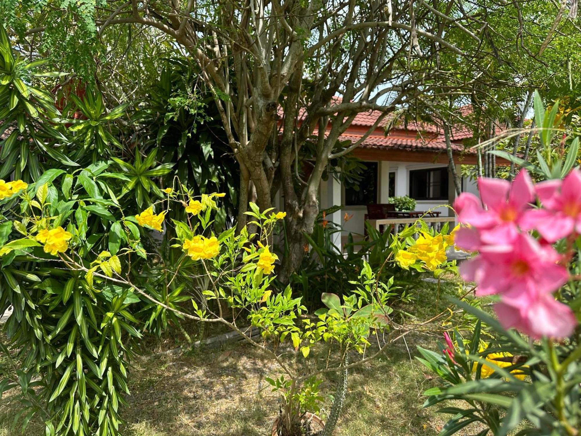 Samui Garden Resort Bang Rak Beach  Exterior photo